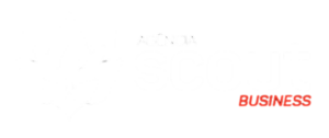 Scout Business
